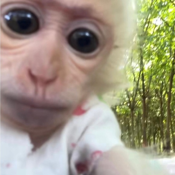 Meet your posher! - Picture 1 of 1